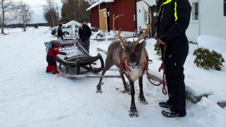Rödsön Poro-Pirtti is located about 6 km’s from the center of Kokkola in a peaceful countryside.