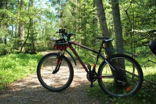 Maastopyörä metsäpolulla